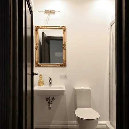 Four Luxury Flats Aparthotel Kaunas