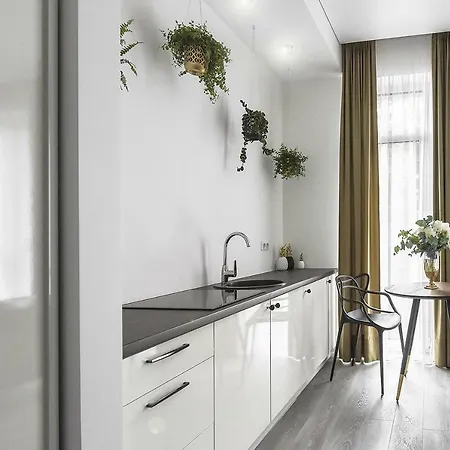 Four Luxury Flats Kaunas