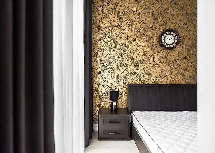 Four Luxury Flats מלון דירות קובנה