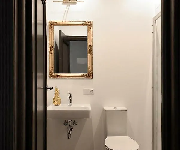 Four Luxury Flats מלון דירות קובנה