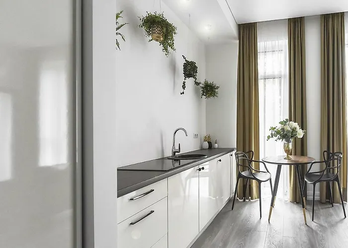 Four Luxury Flats קובנה