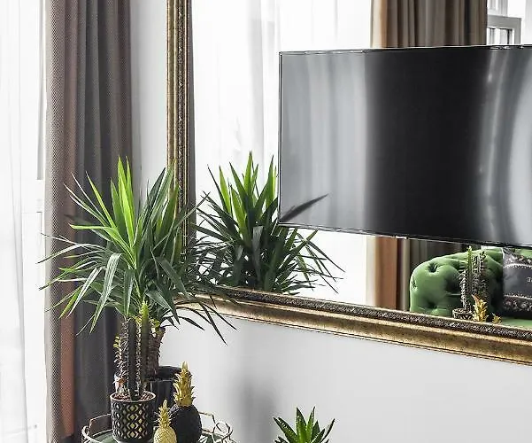 Four Luxury Flats קובנה