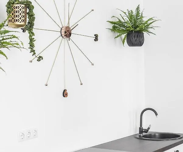 Four Luxury Flats קובנה