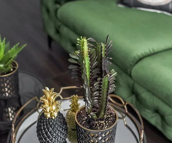 Four Luxury Flats מלון דירות 3*